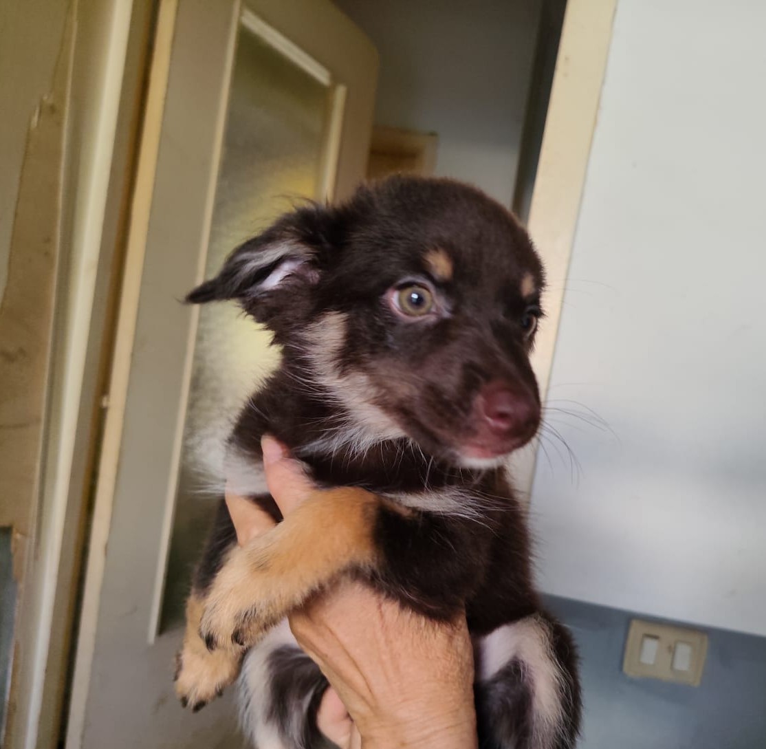 Zoe
