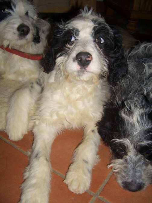 Emely