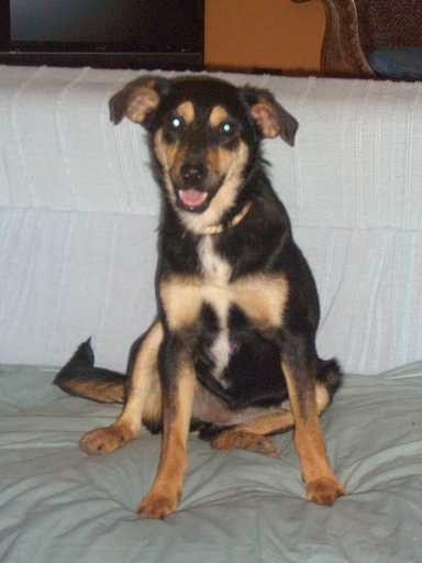 Ketti