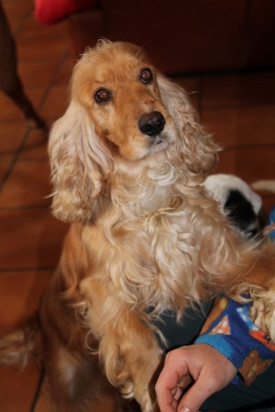 Lily