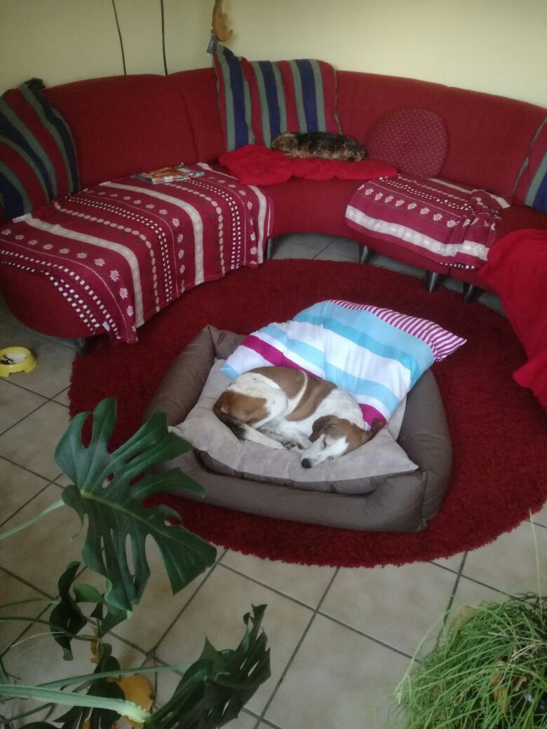 Ciro