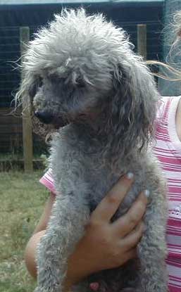 Peppie