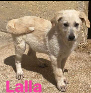 Lalla