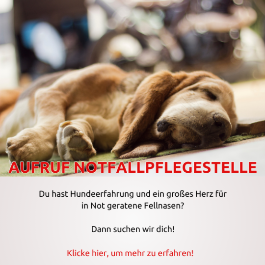 AUFRUF NOTFALLPFELEGESTELLE (2)