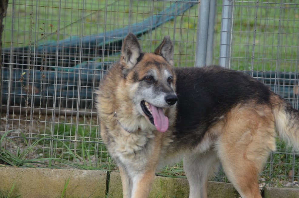 Aldo