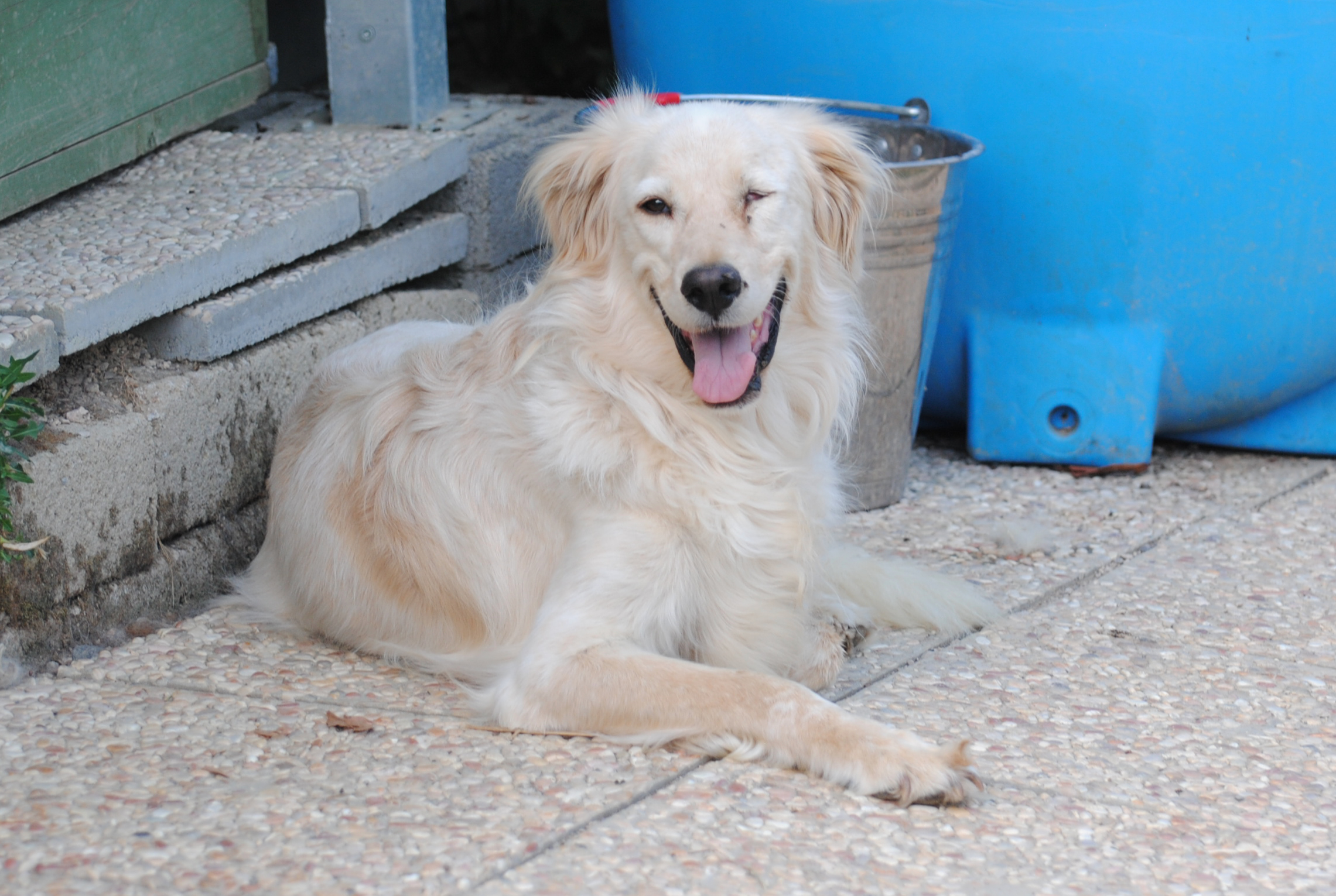 Ebba (Incognita)