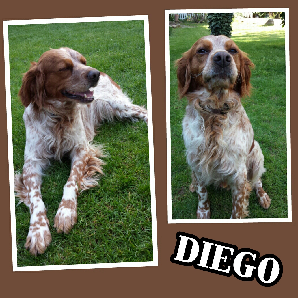 Diego