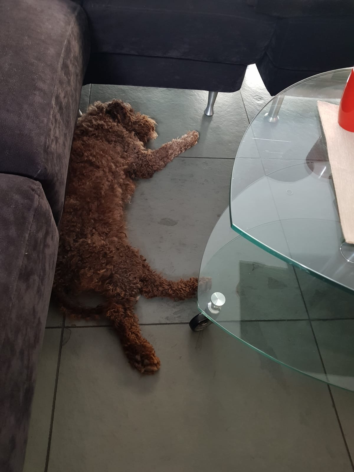 Penny