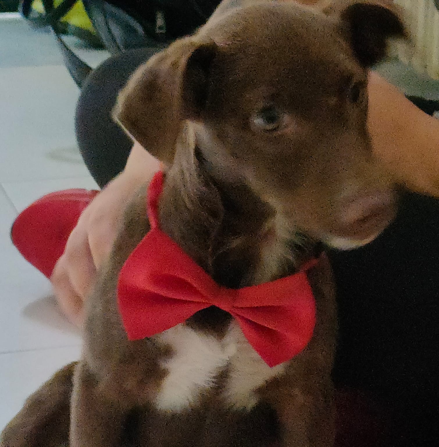 Frank