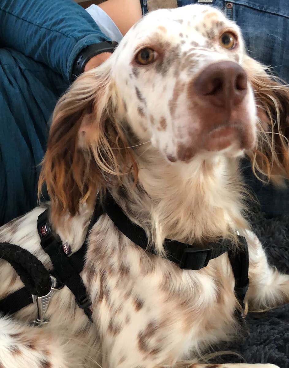 Sam