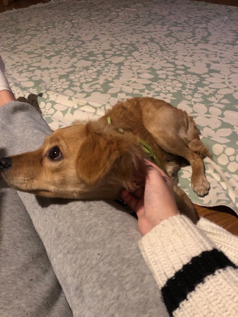Ted