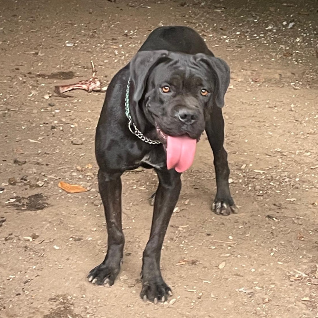 Luna