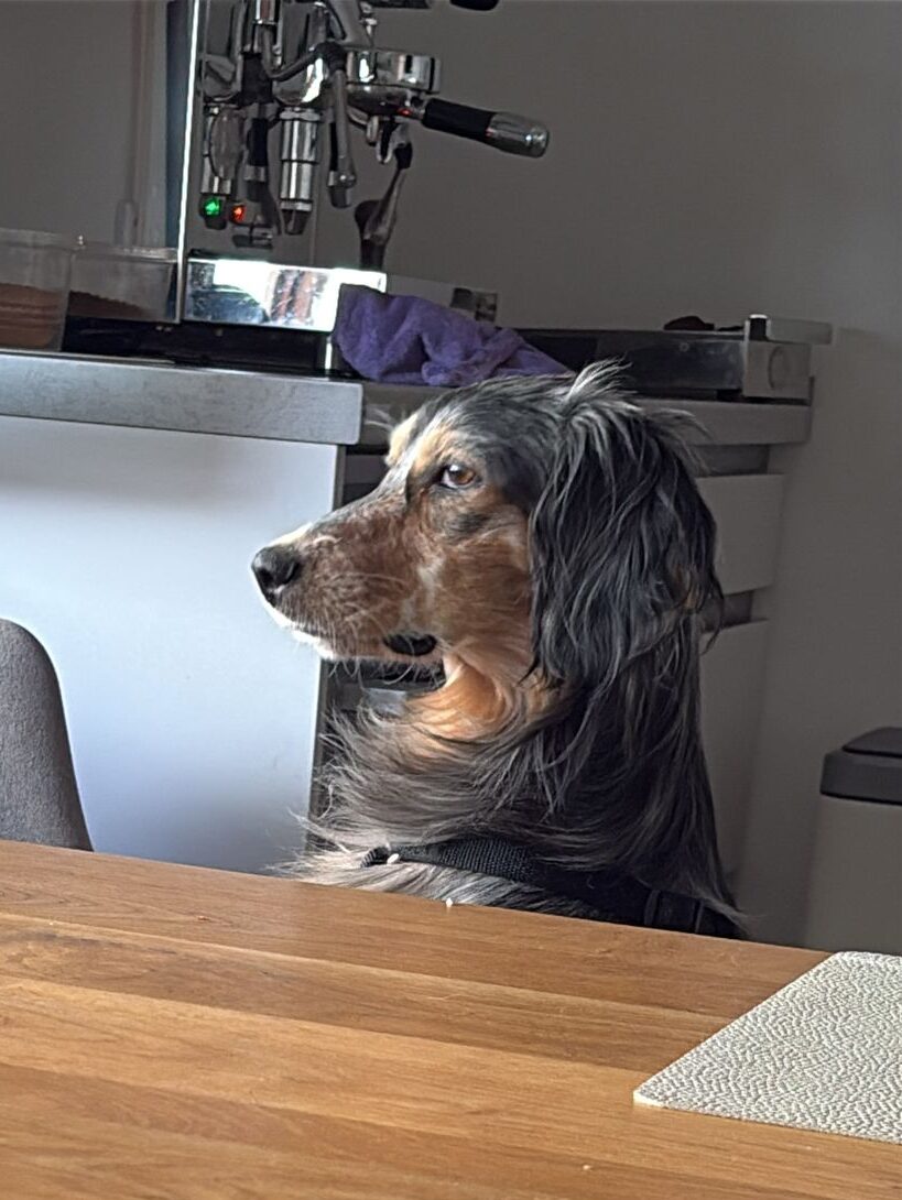 Fiona