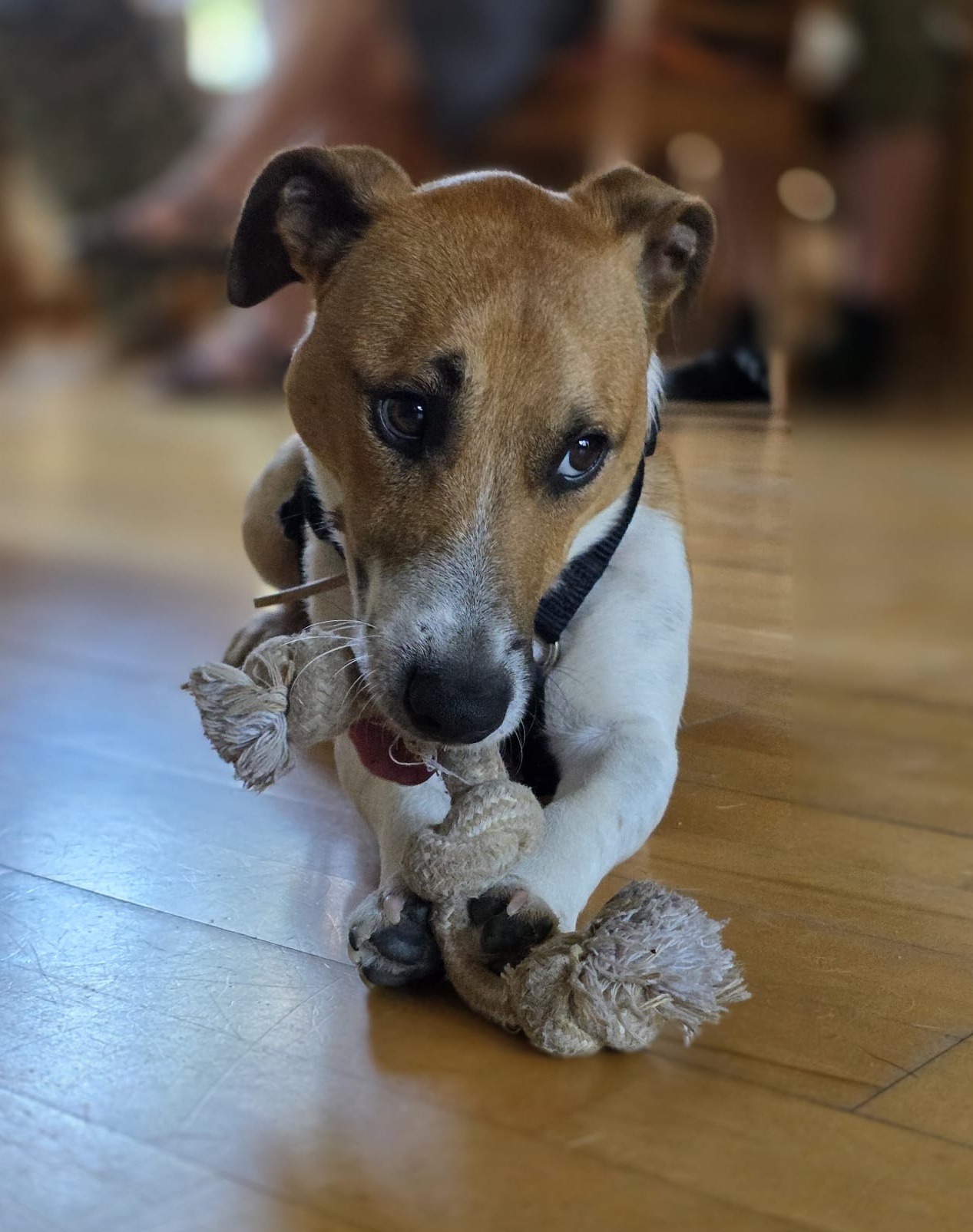 Max