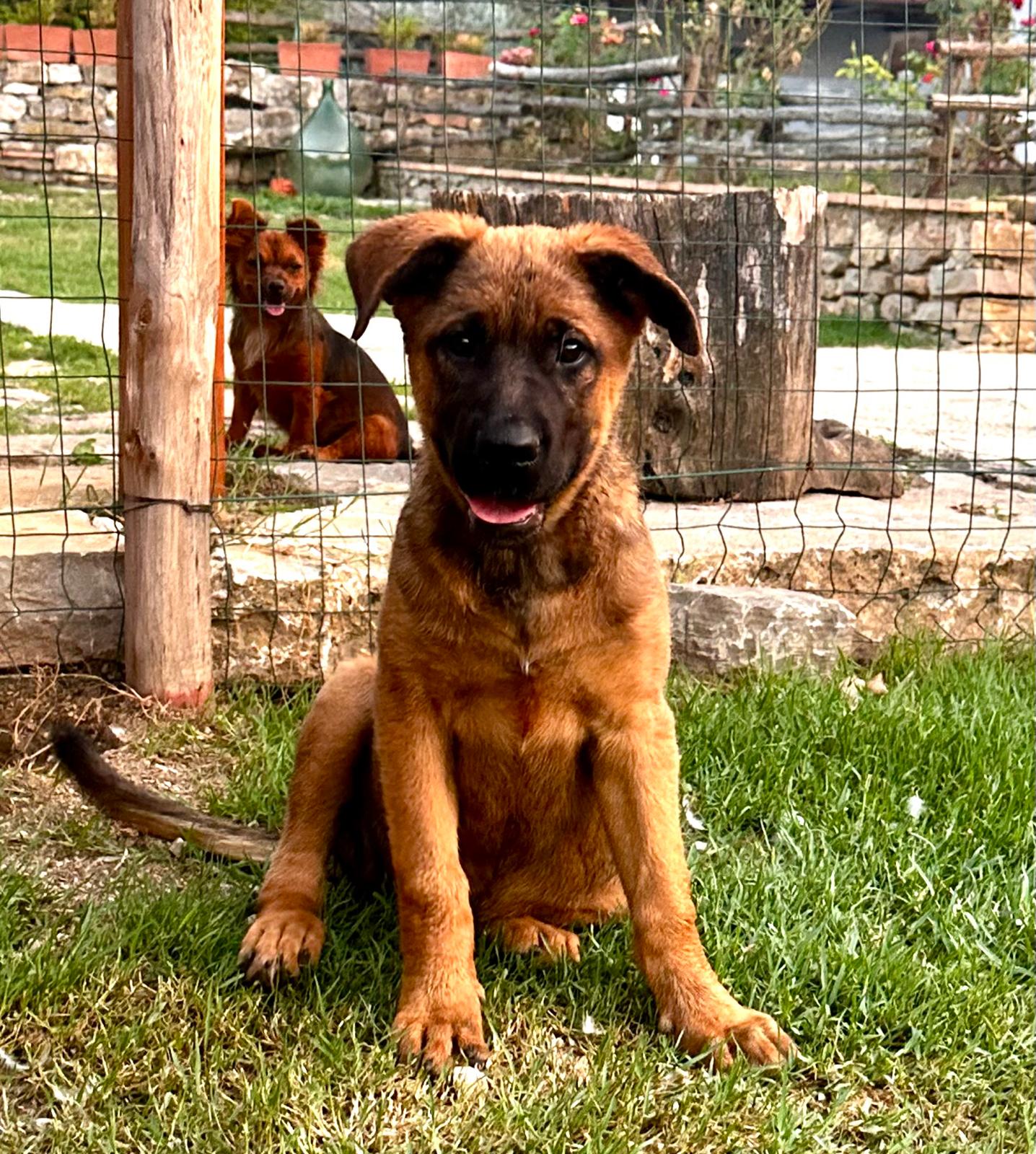 Keira