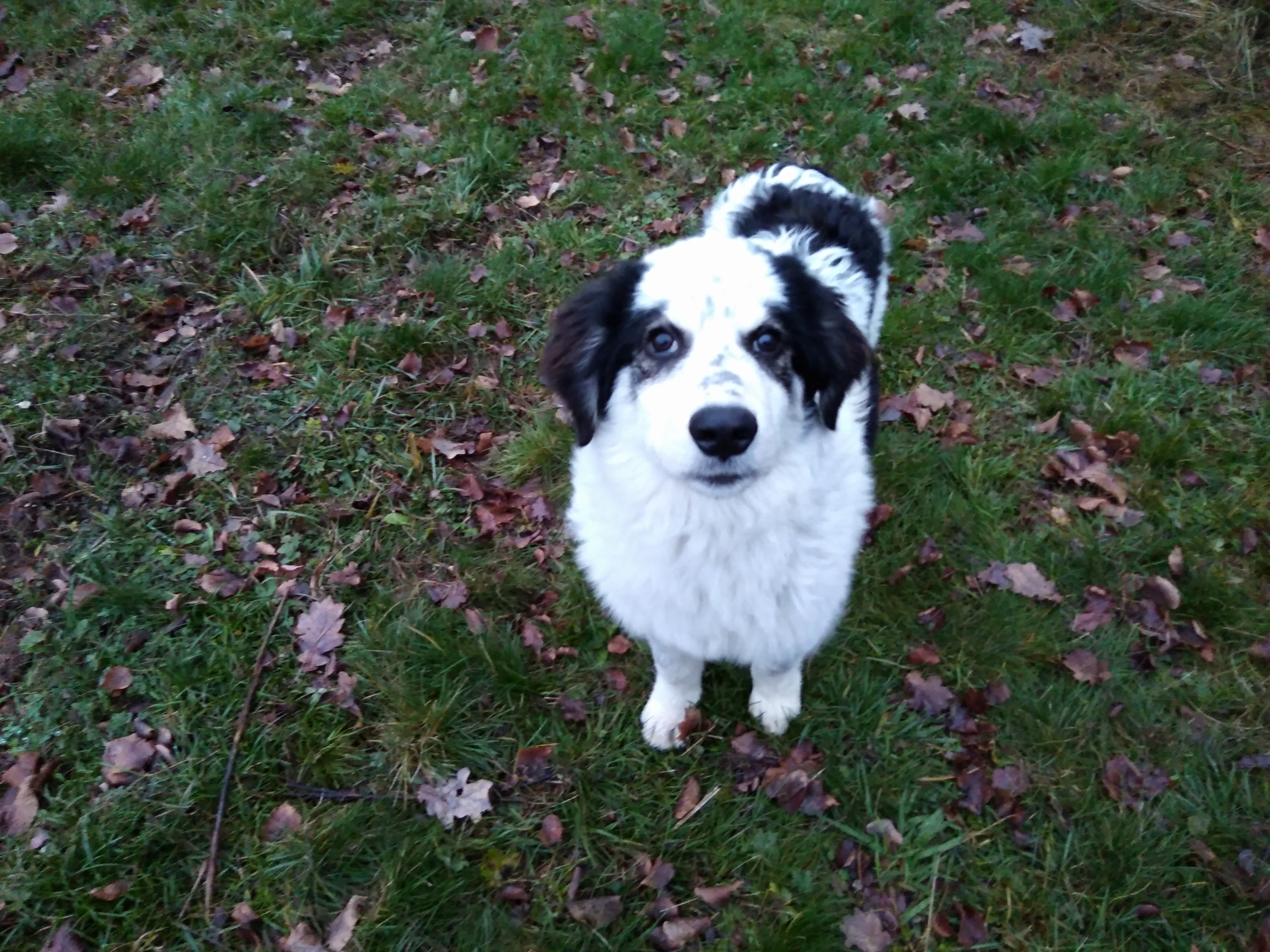 Jack