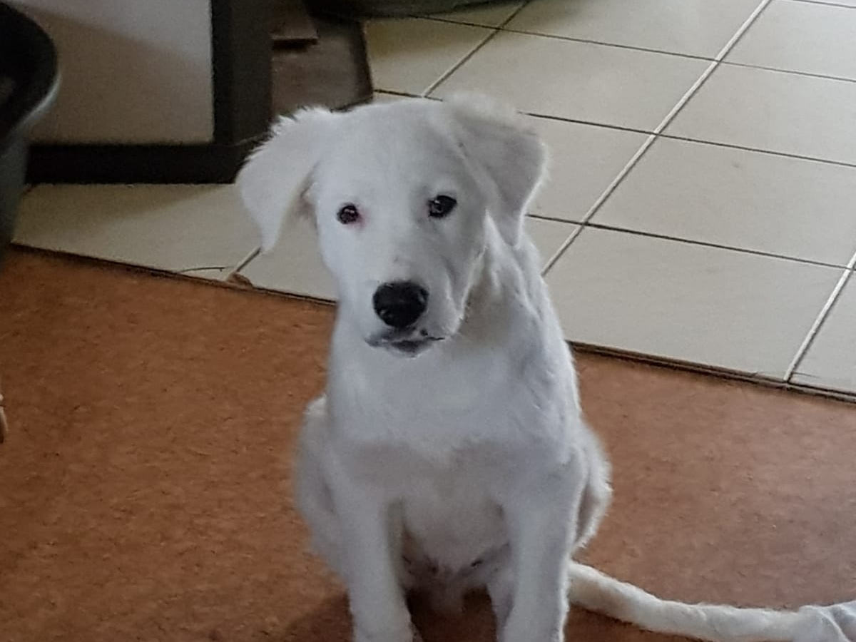 DaVinci