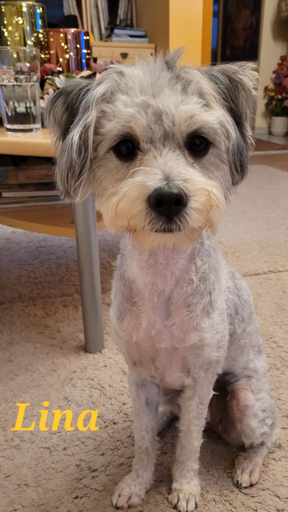 Trudi