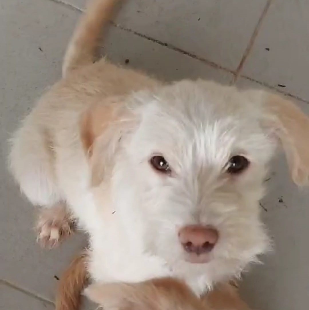 Kiki