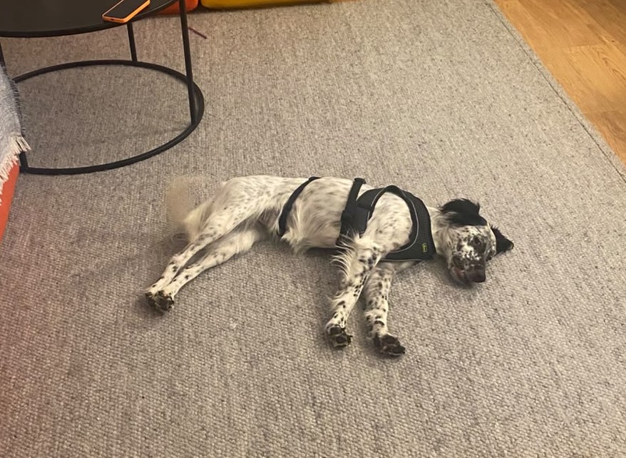 Luna