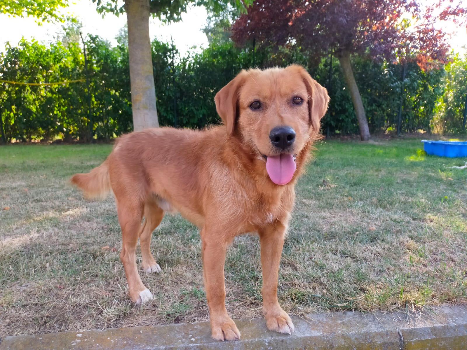 Matteo