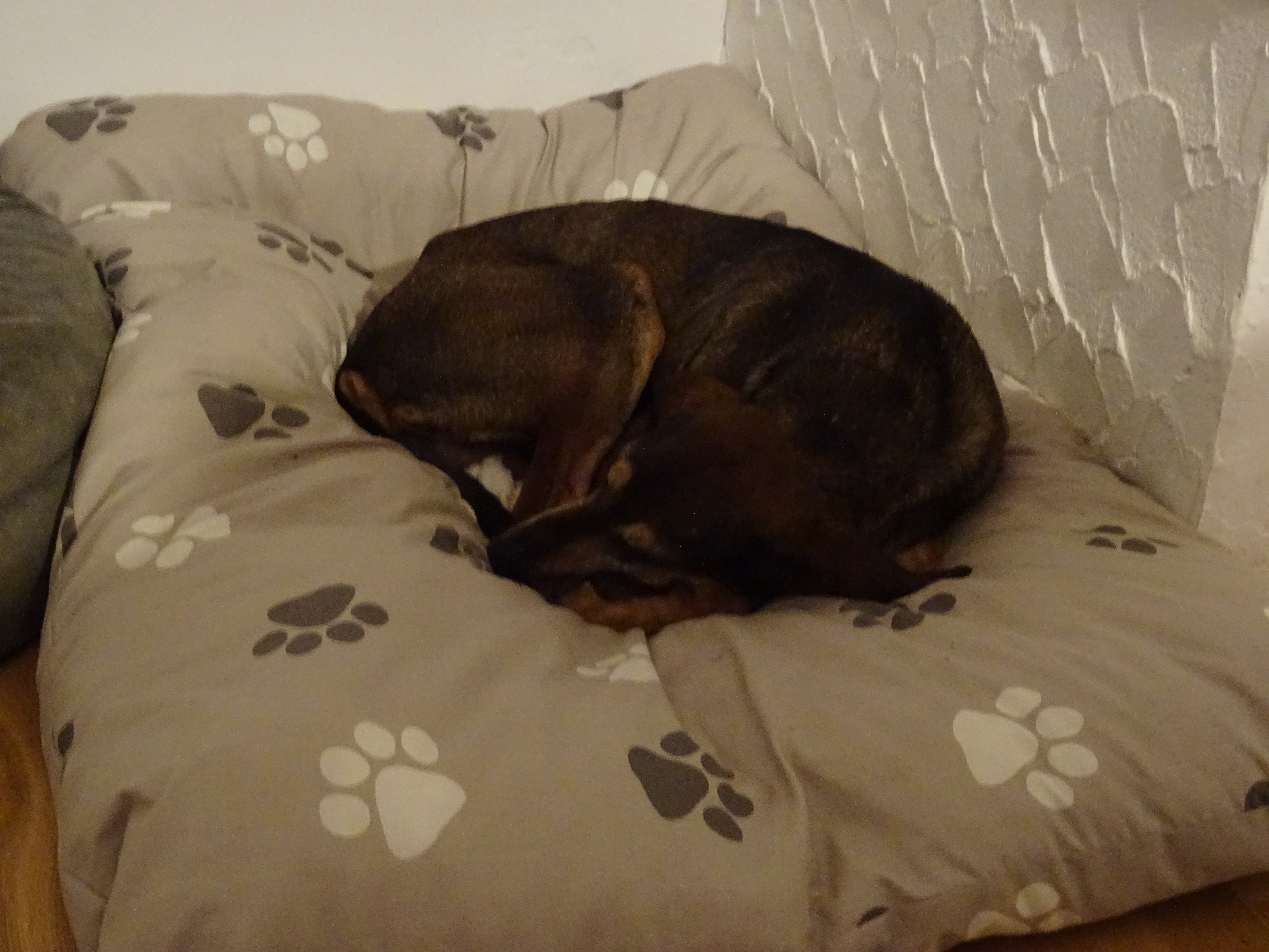 Nerone
