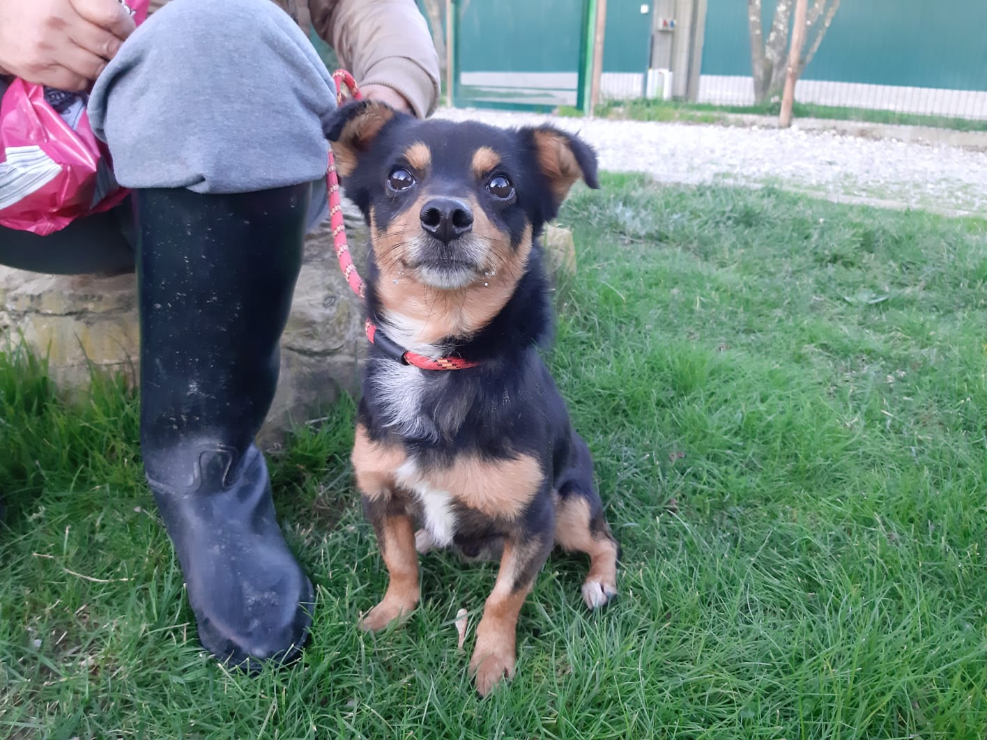Oscar / Moel