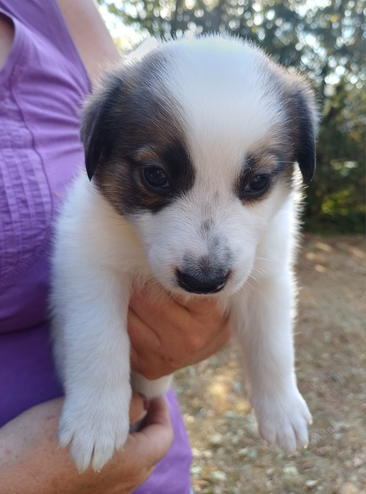 Oscar