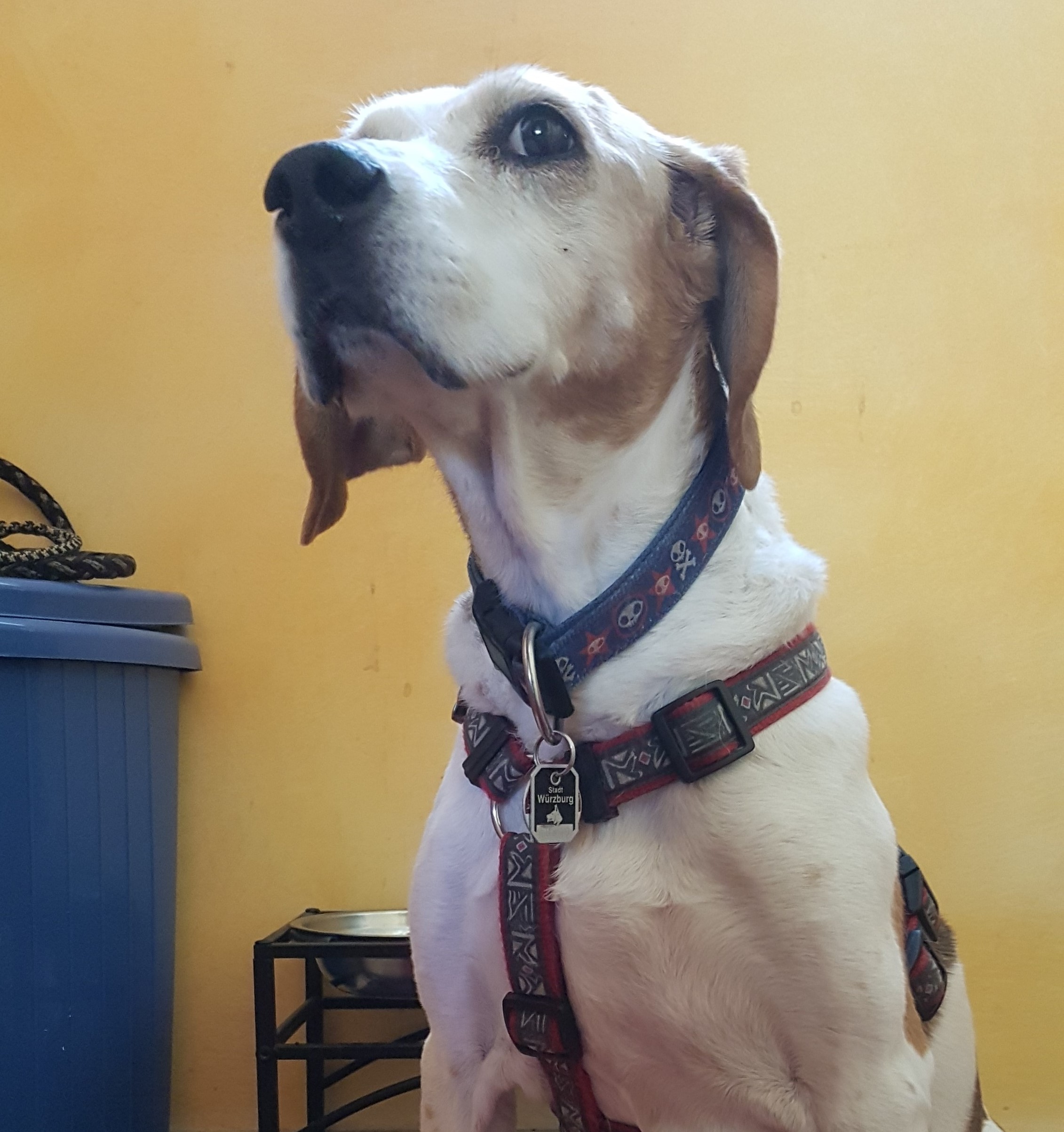 Lena