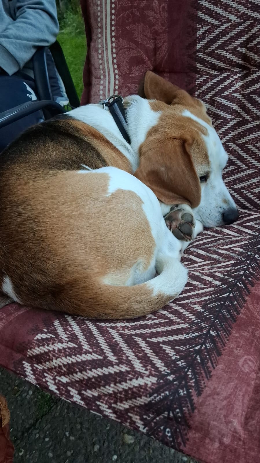 Sam