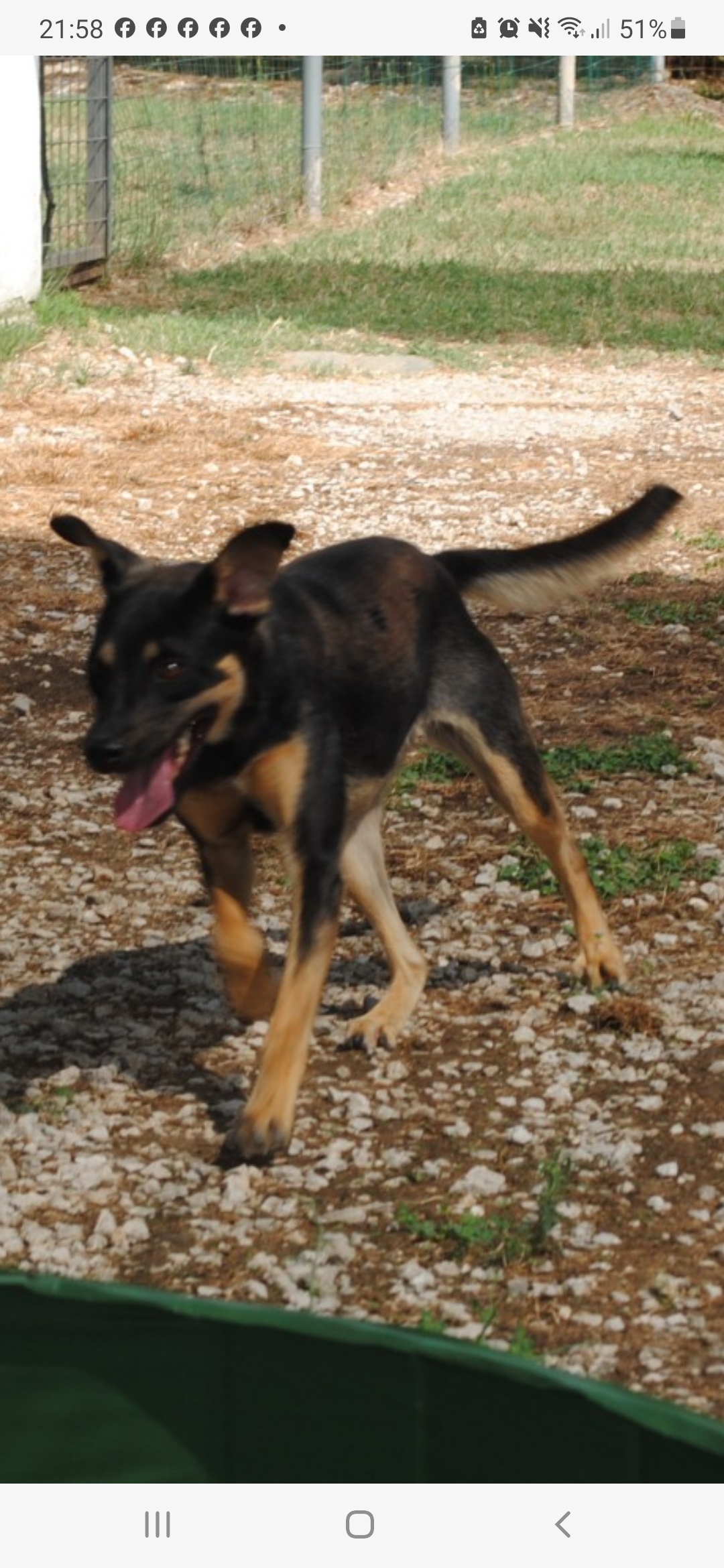 Noa