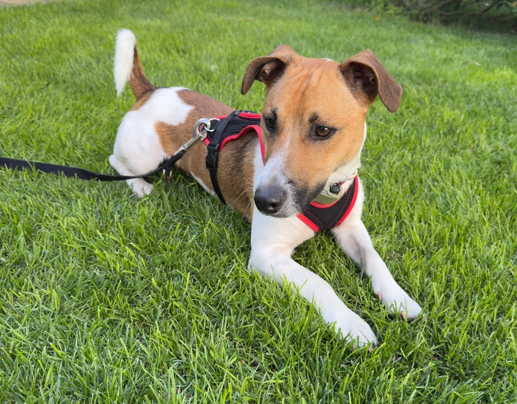 Max