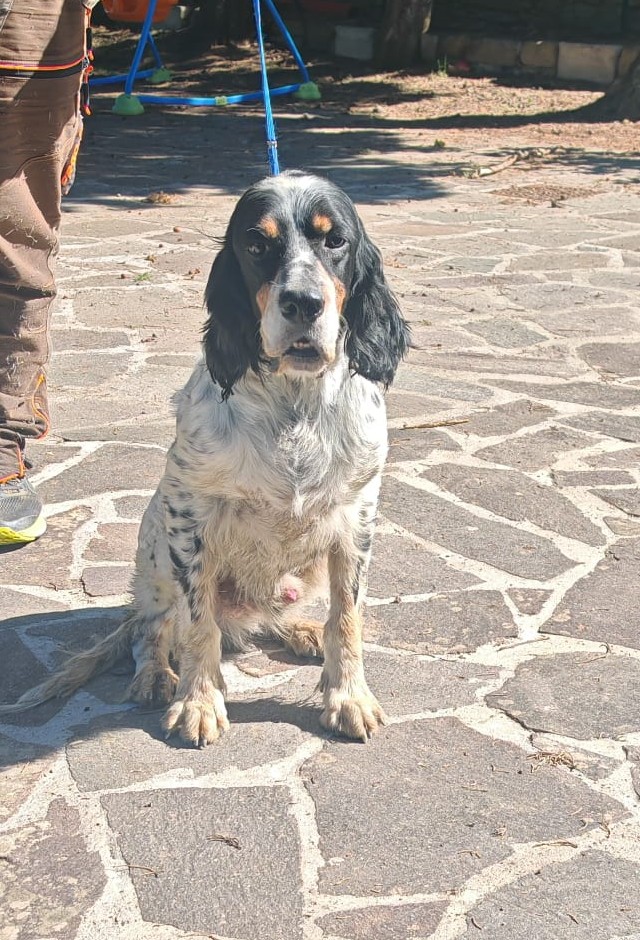 Atlante
