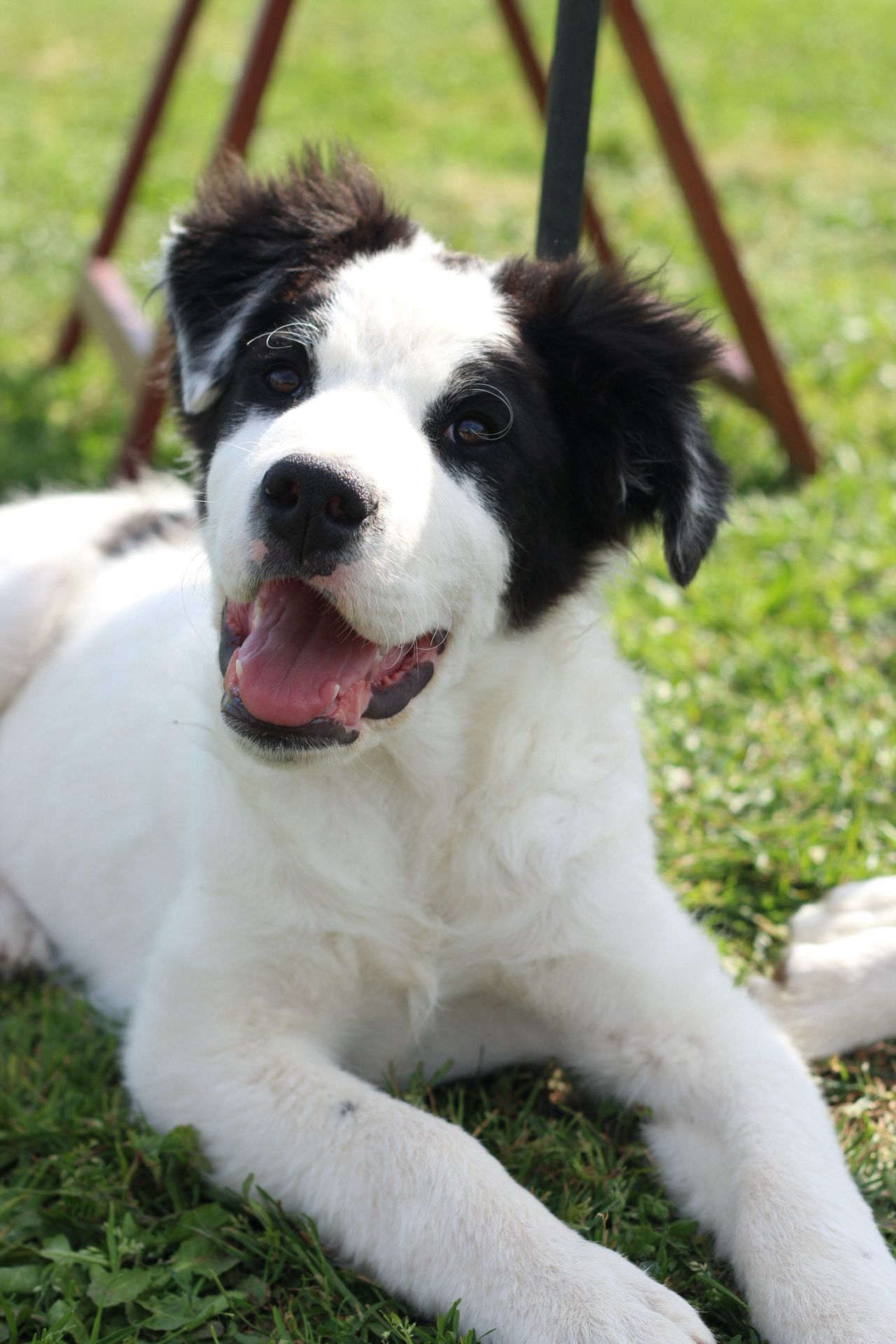 Zeus