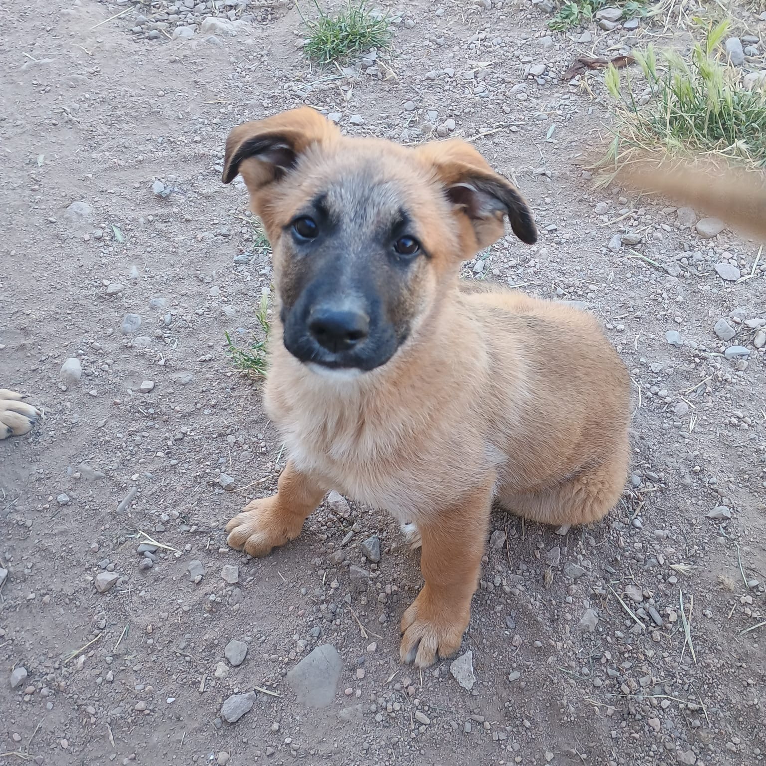 Pablo