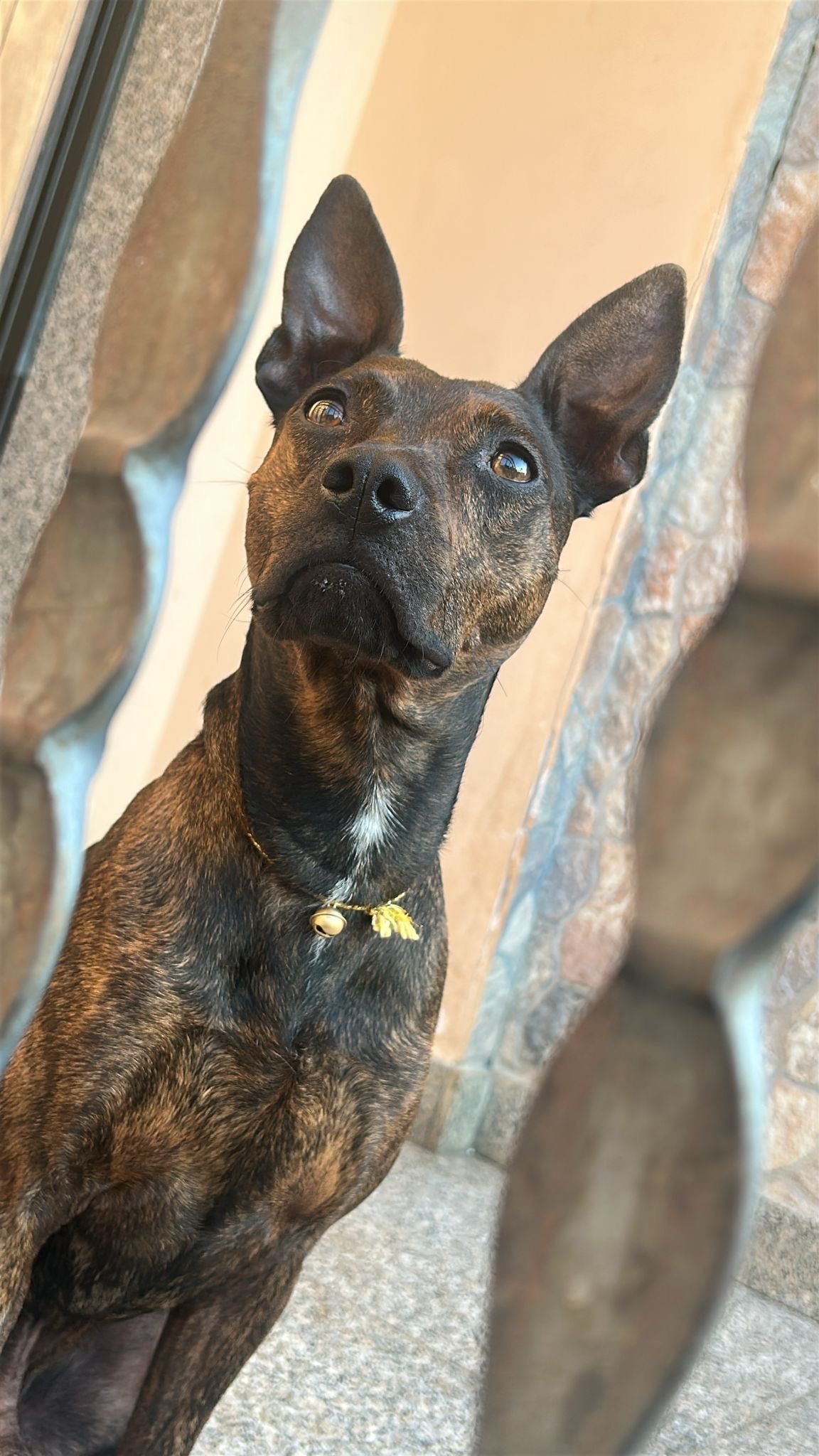 Tyson