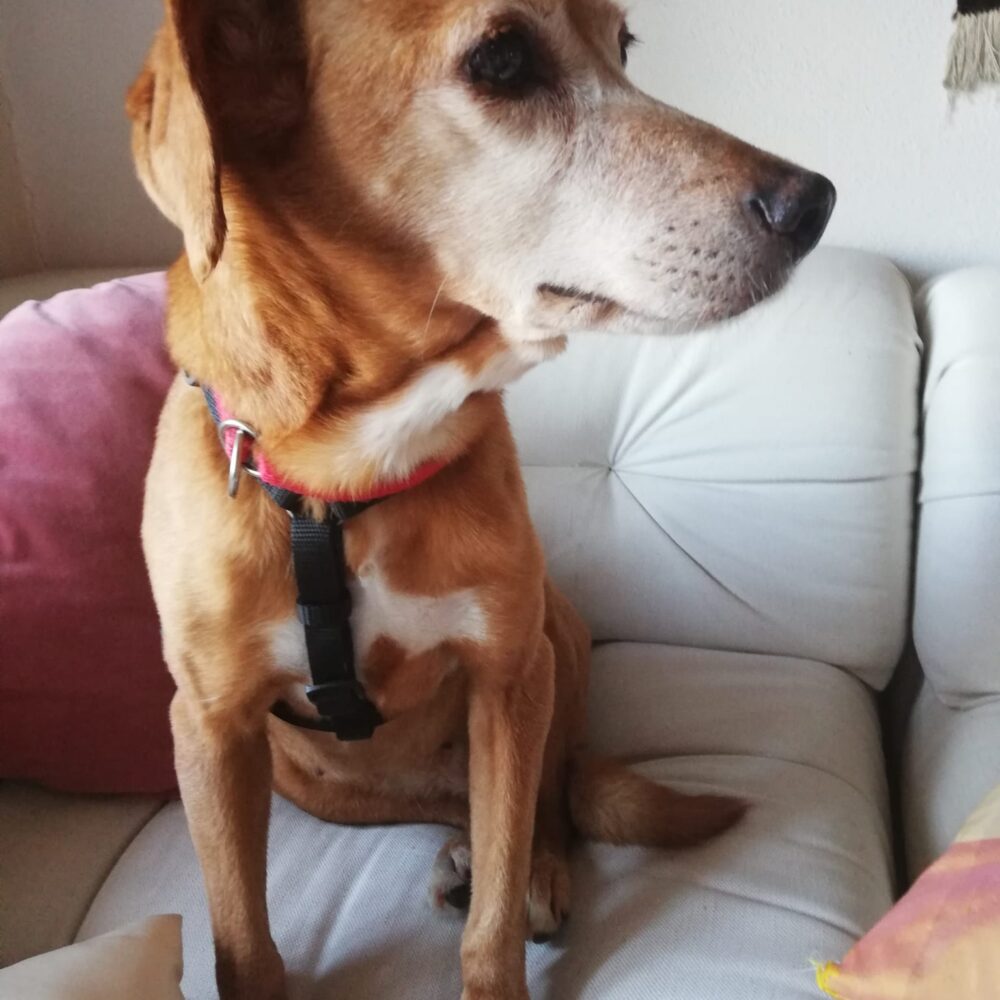 Betty