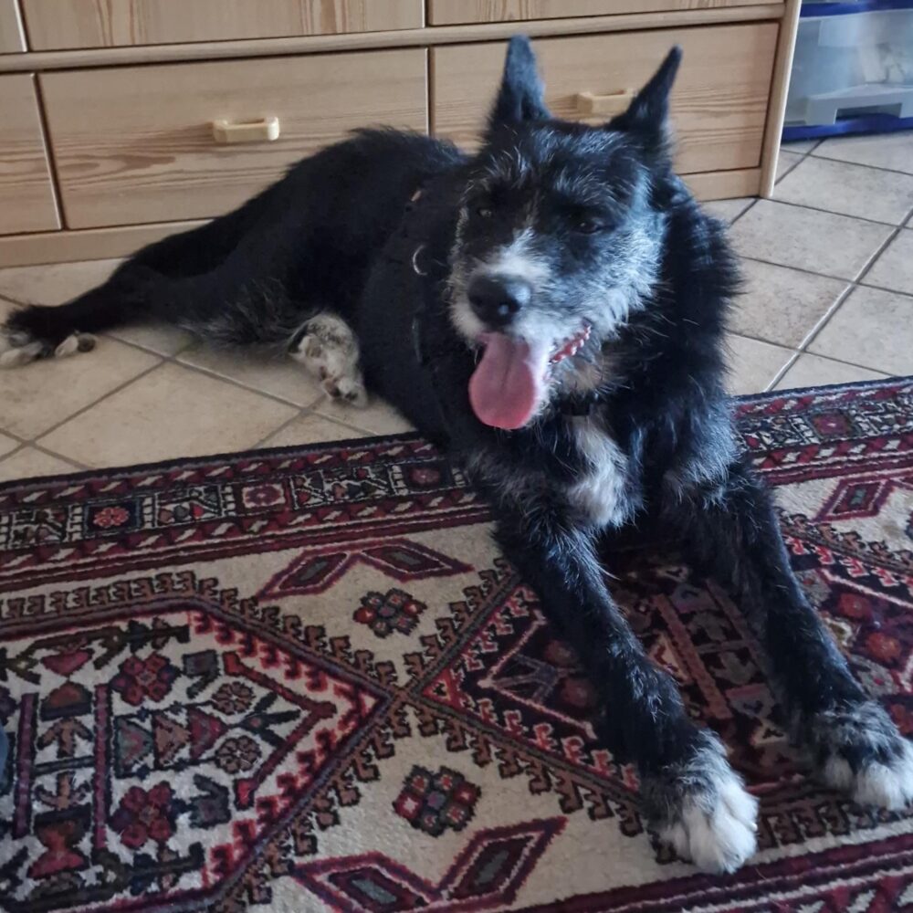Ciro