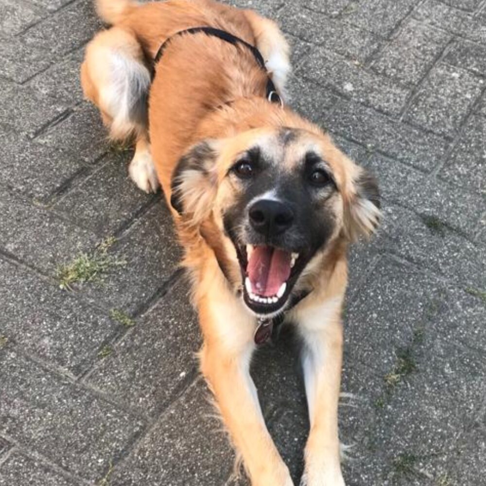 Nadia