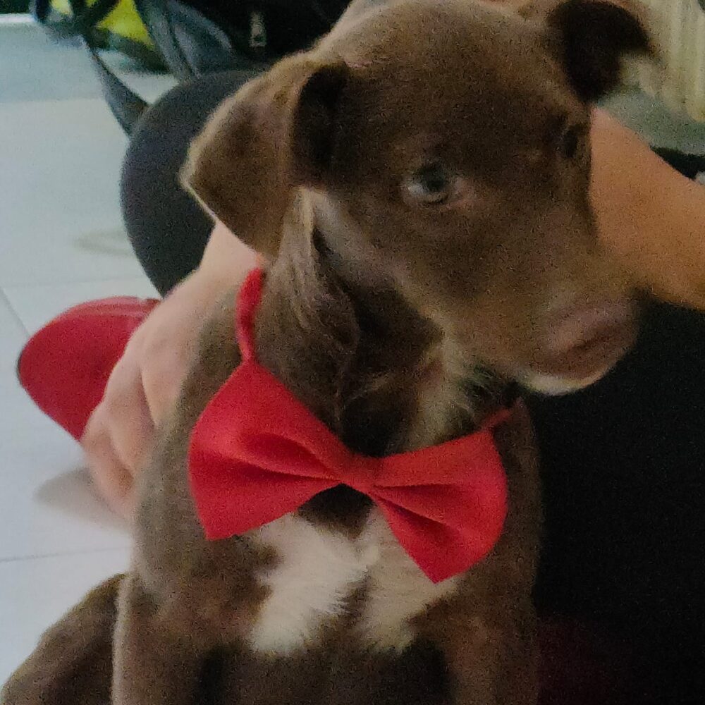 Frank