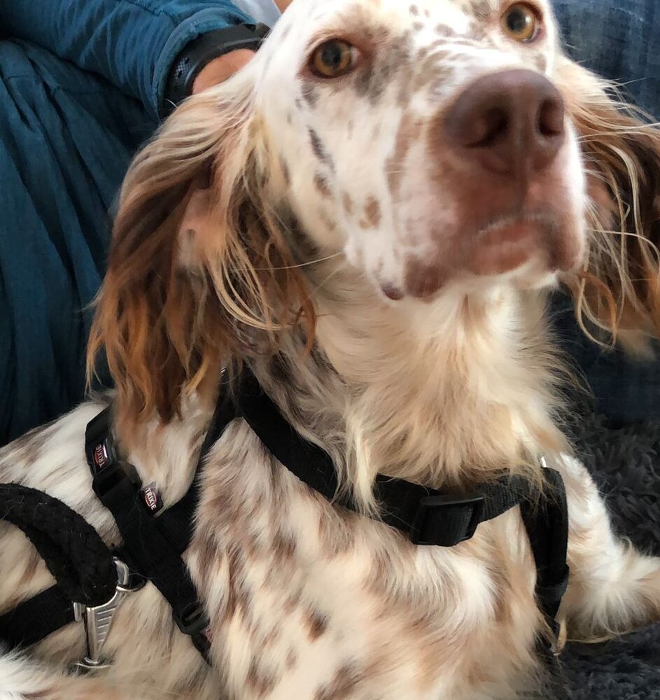Sam