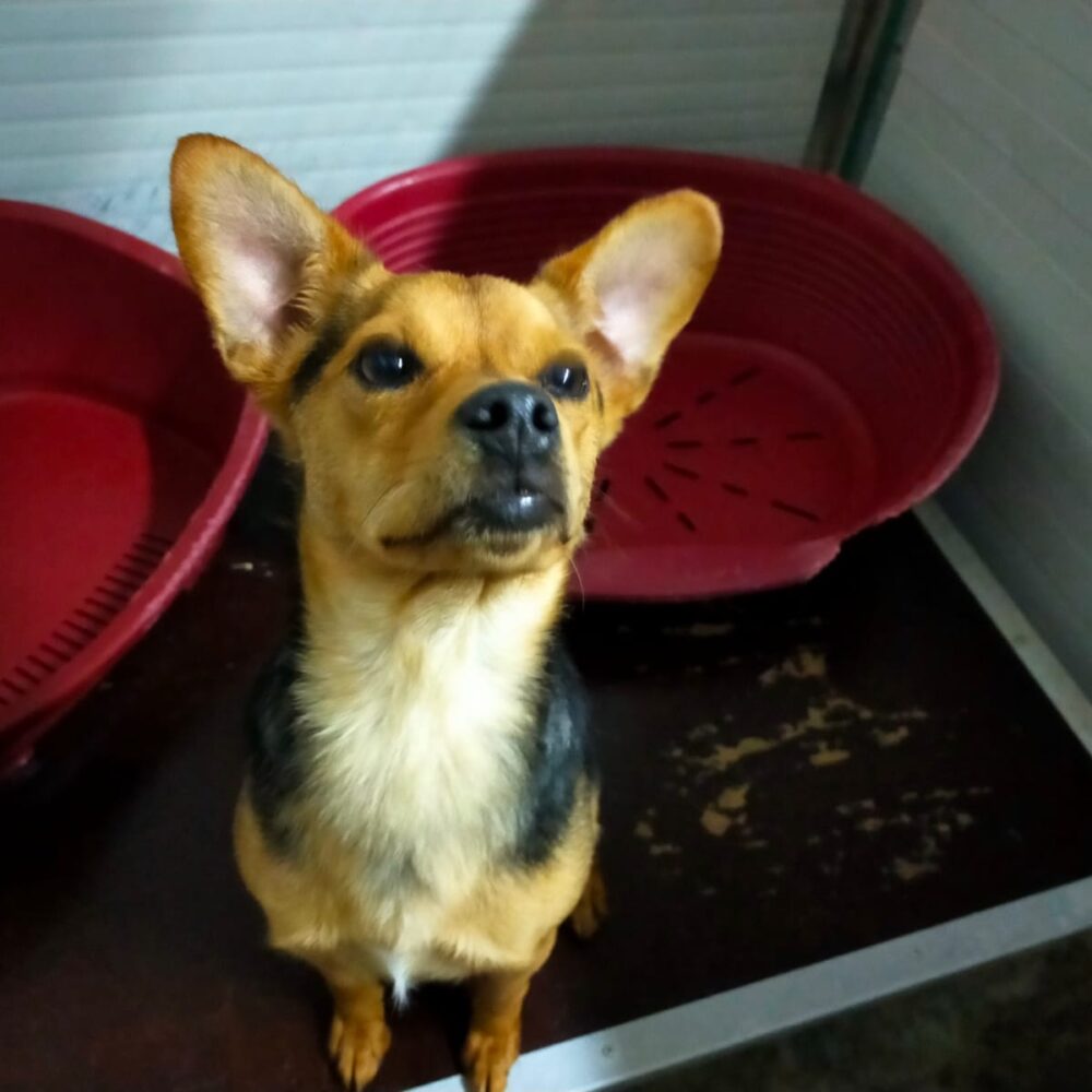 Ben