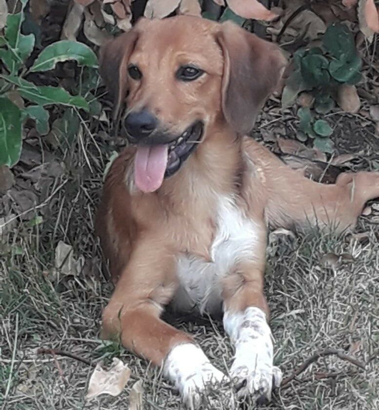 Jack