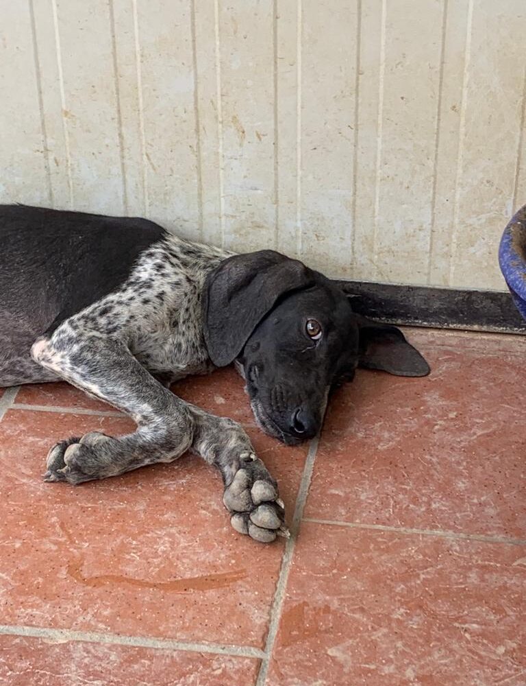 Max