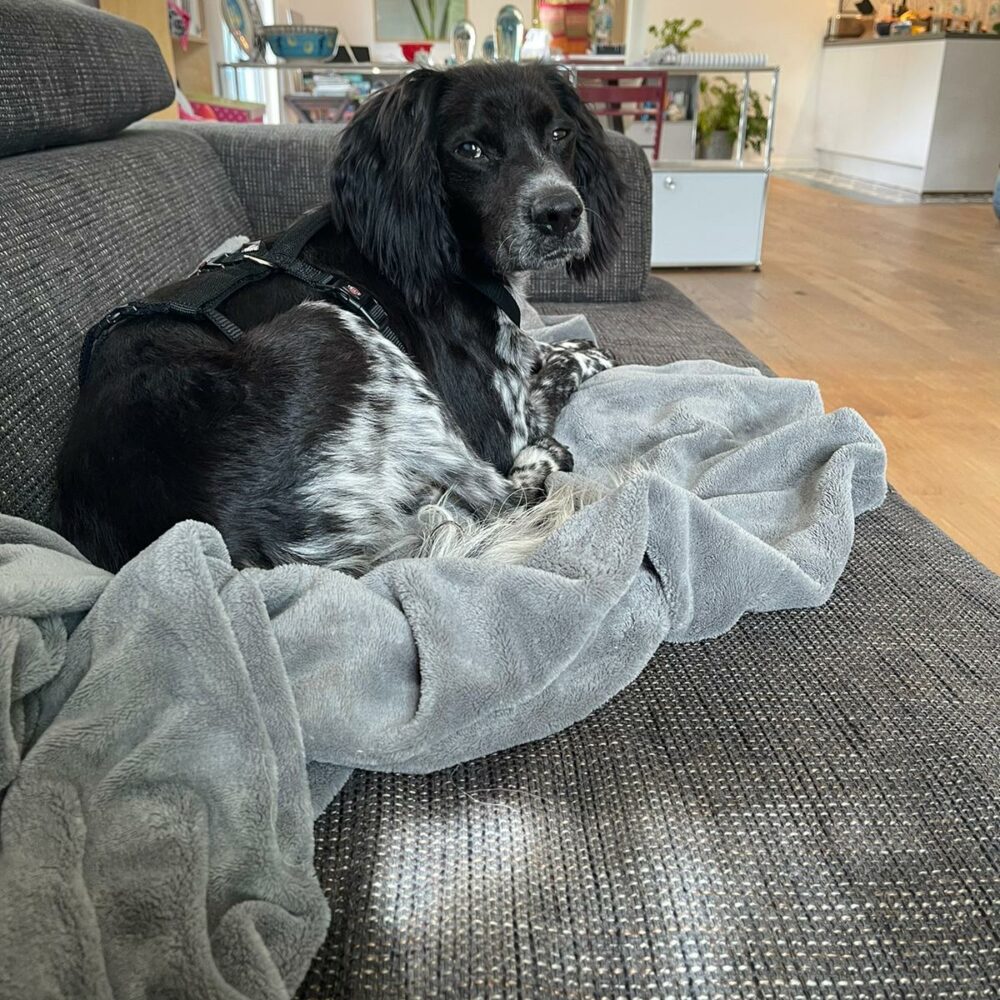 Milo