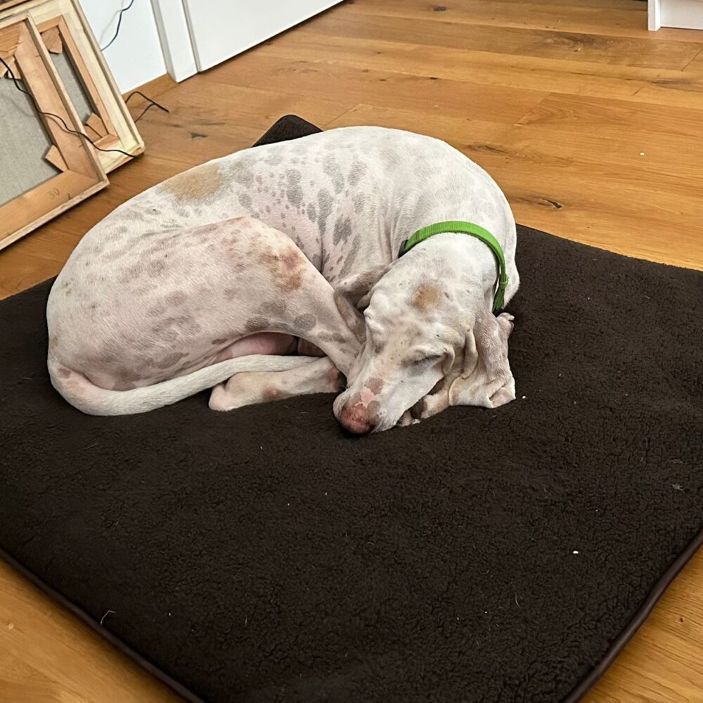 Remi