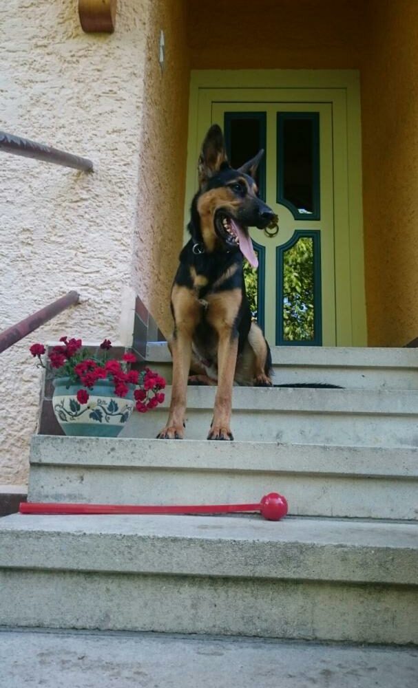 Zeus