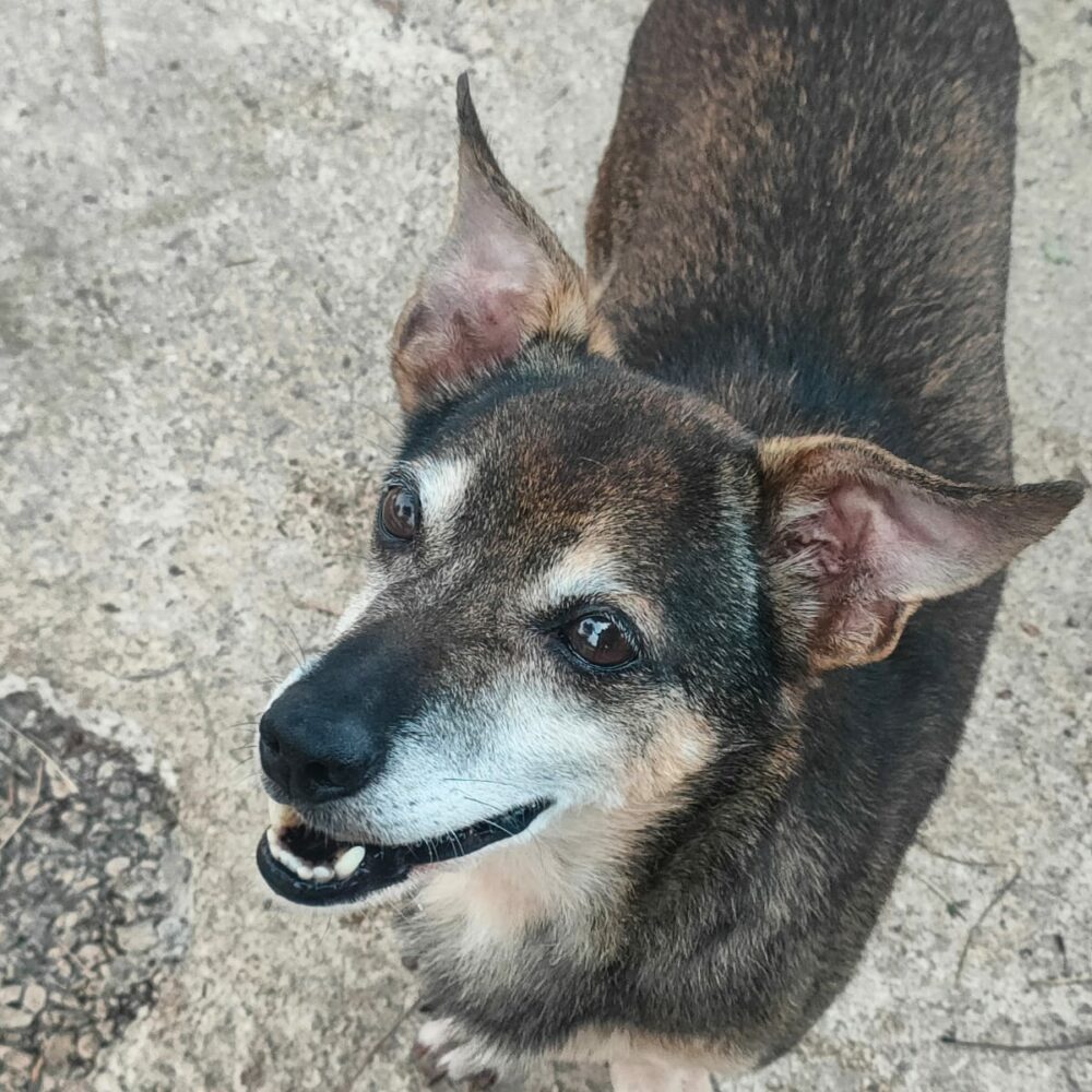 Bernardo