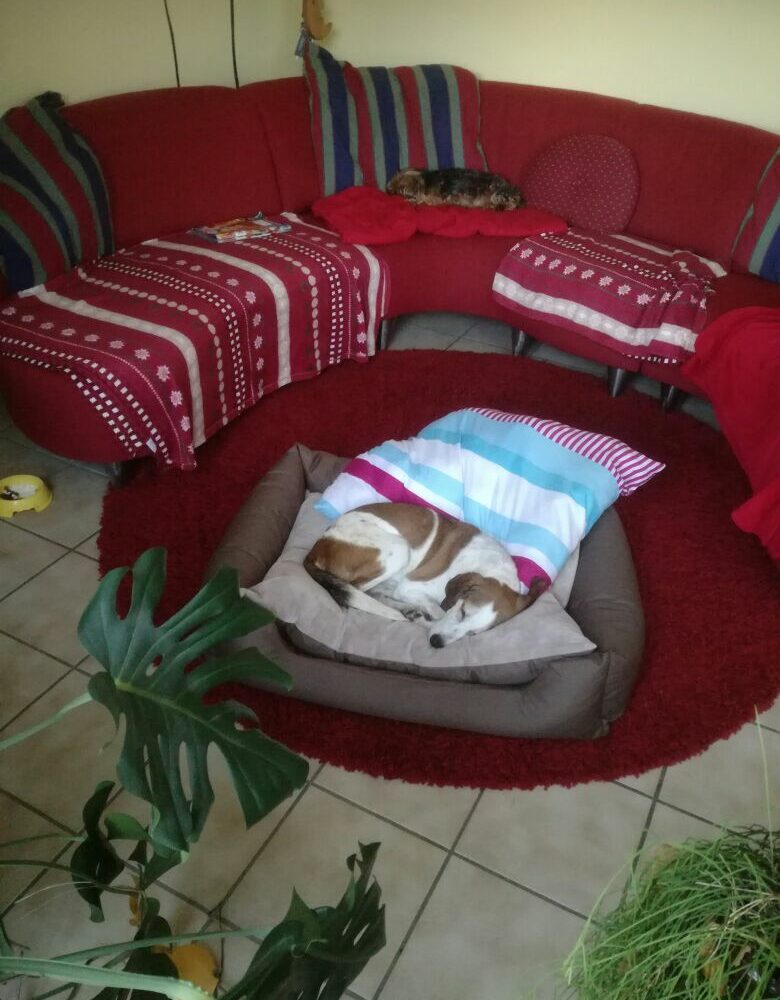 Ciro