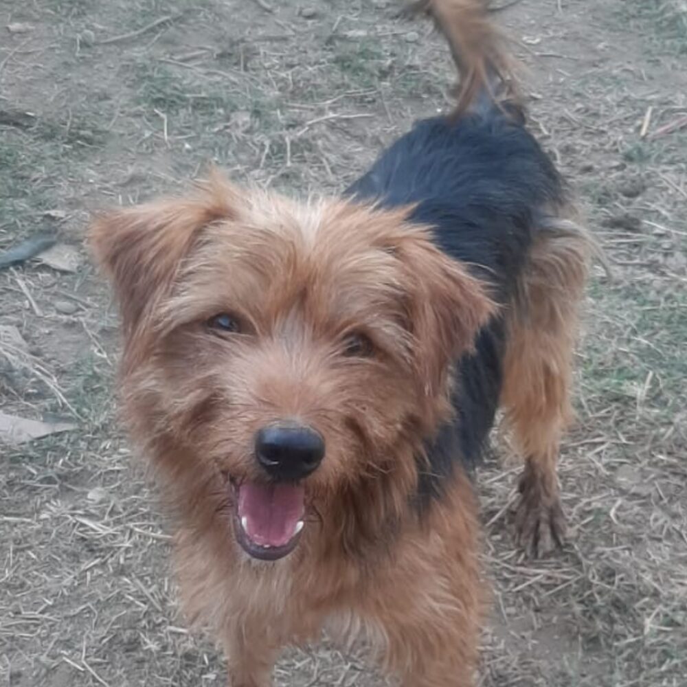 Marley